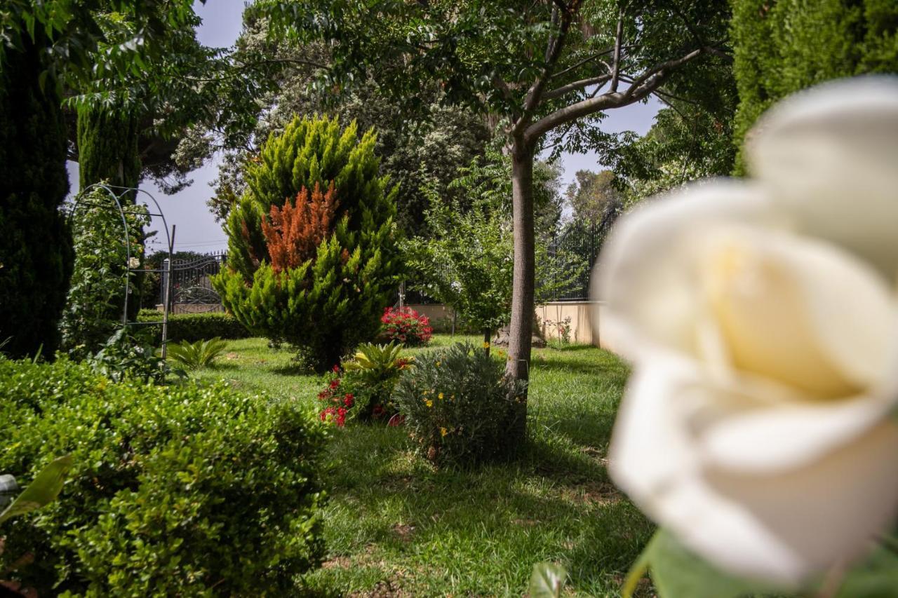 Royal Rooms Terracina Ngoại thất bức ảnh